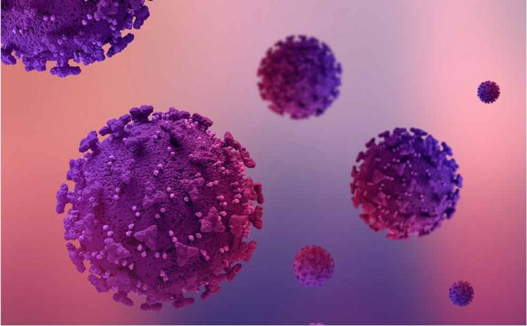 Scoperta Shock: Il Papillomavirus Umano (HPV) Può Causare Direttamente il Cancro della Pelle 4 Scoperta Shock: Il Papillomavirus Umano (HPV) Può Causare Direttamente il Cancro della Pelle