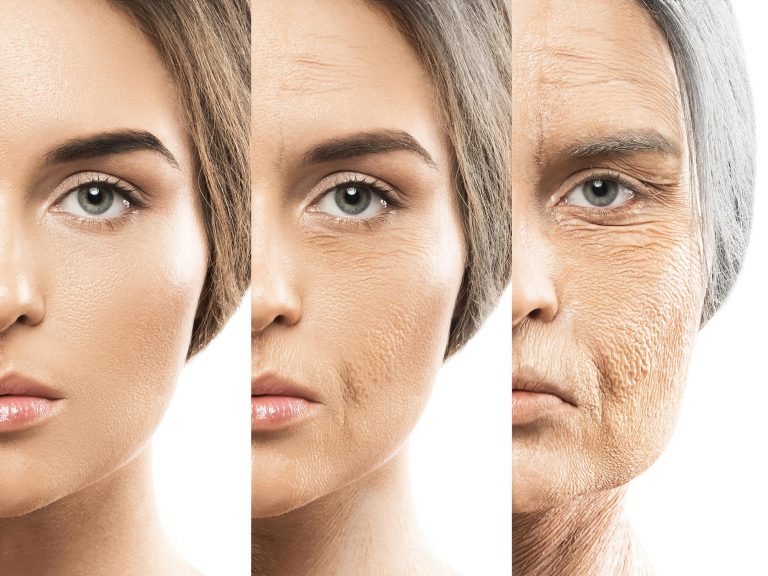 Riscrivere l'Invecchiamento: Svelato il "Sistema di Pulizia" Cellulare che Elimina le Proteine Tossiche 3 Riscrivere l'Invecchiamento