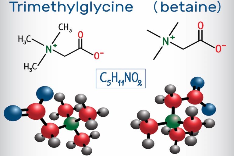Betaina: La Molecola Prodotta dal Rene che Potrebbe Trasformare i Benefici Anti-Età dell’Esercizio in una Pillola 2 Betaína: La Molecola Prodotta dal Rene che Potrebbe Trasformare i Benefici Anti-Età dell’Esercizio in una Pillola
