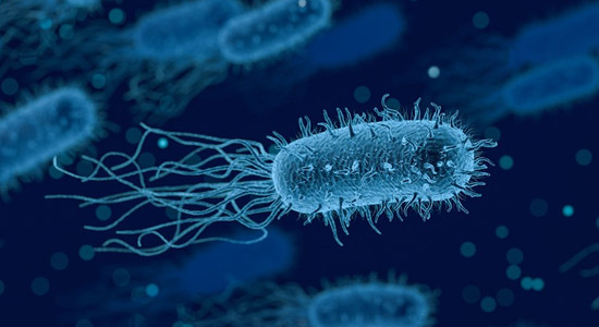 Terapia AUN: il trattamento batterico rivoluzionario che distrugge il cancro senza il sistema immunitario 6 Terapia AUN