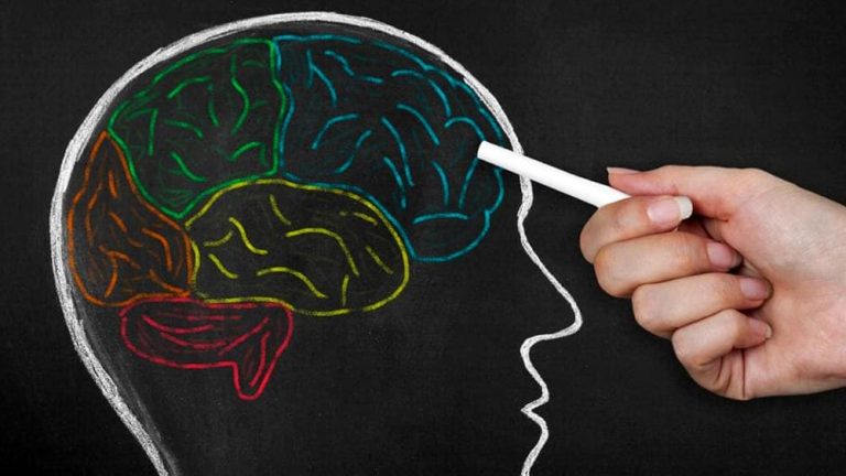 CRISPR inverte la perdita di memoria legata all'età 10 CRISPR